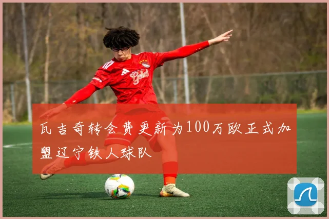 瓦吉奇转会费更新为100万欧正式加盟辽宁铁人球队